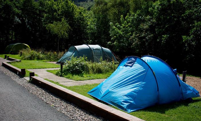 Cwmcarn Forest Campsite